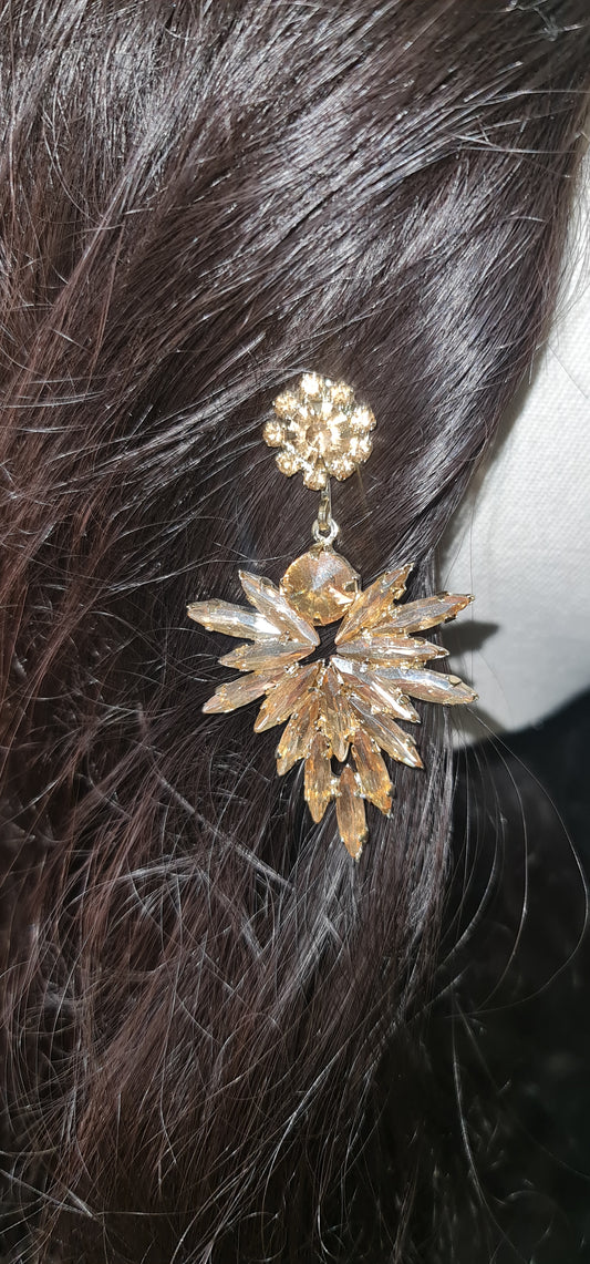 Party Earrings