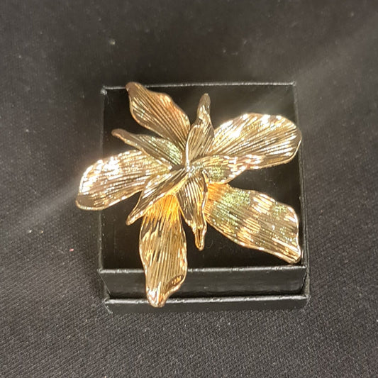 Judi Ring